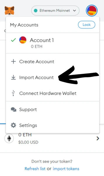 In the Metamask wallet select import account