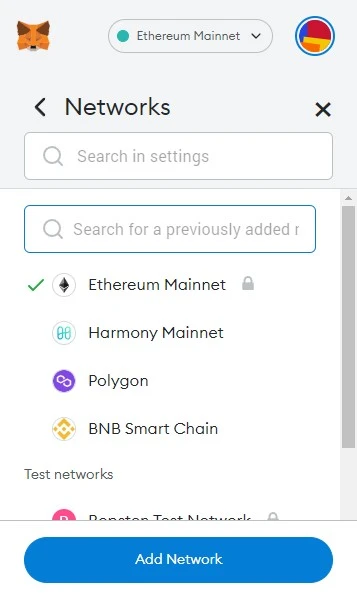 Select network you want to delete from MetaMask