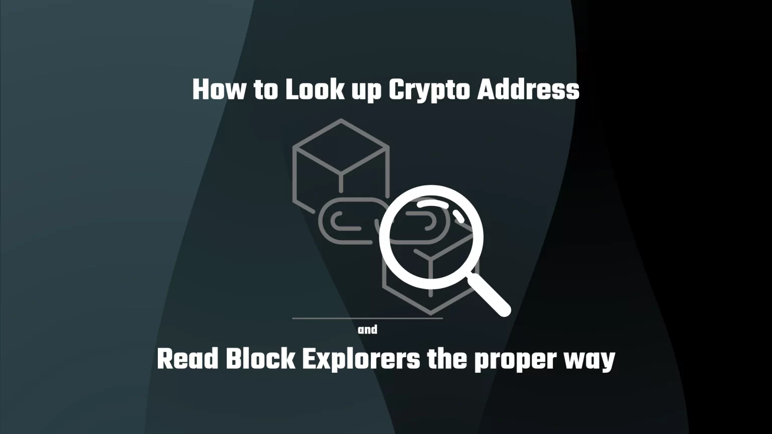 How to Look up Crypto Address and How to Read Block Explorers How to look up crypto address