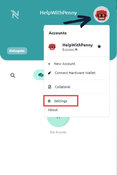 Go to settings in Nami wallet