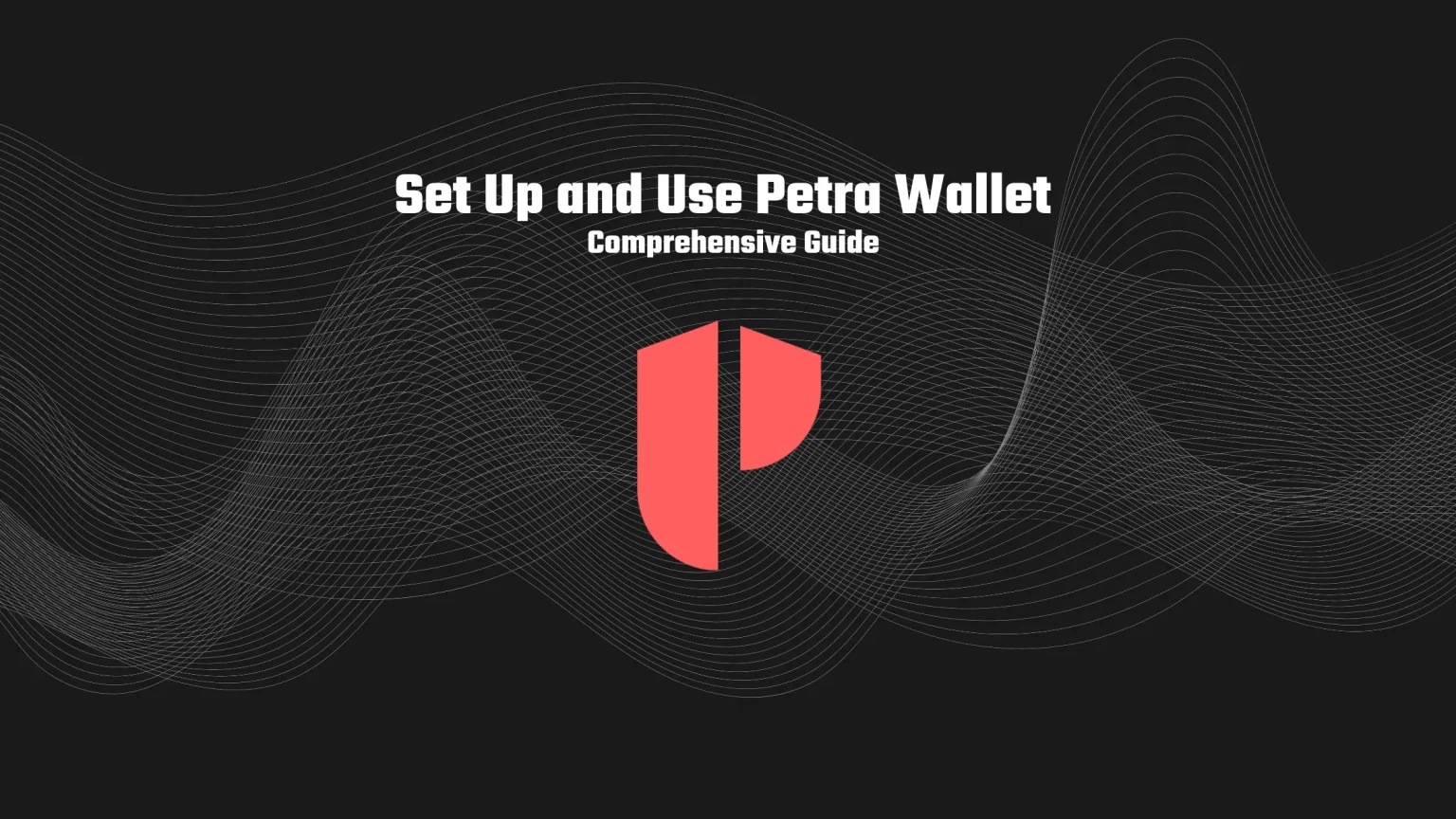 How to Set Up and Use Petra Wallet