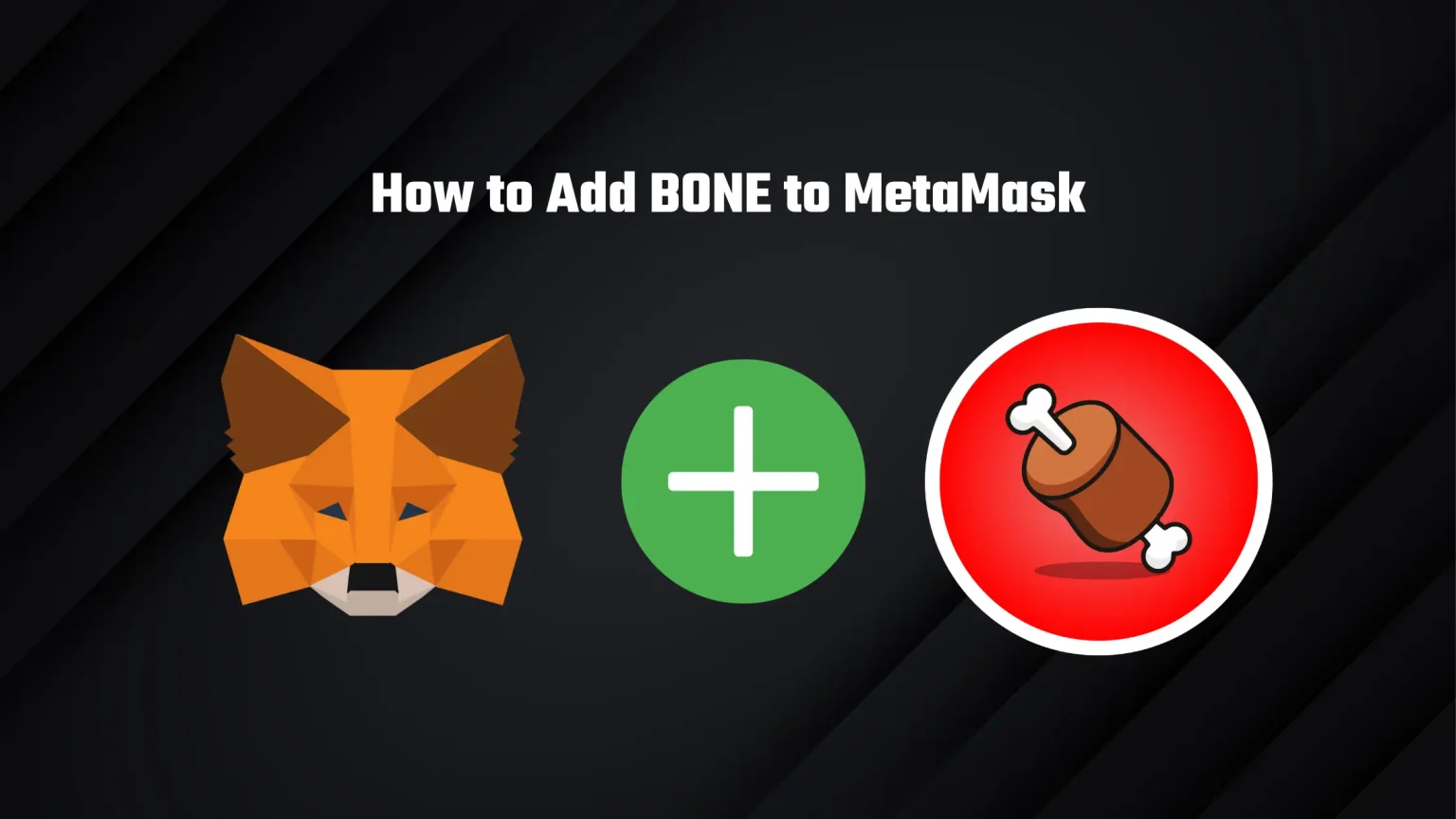 How to Add BONE to MetaMask Easily in 2024 How to add BONE to metamask