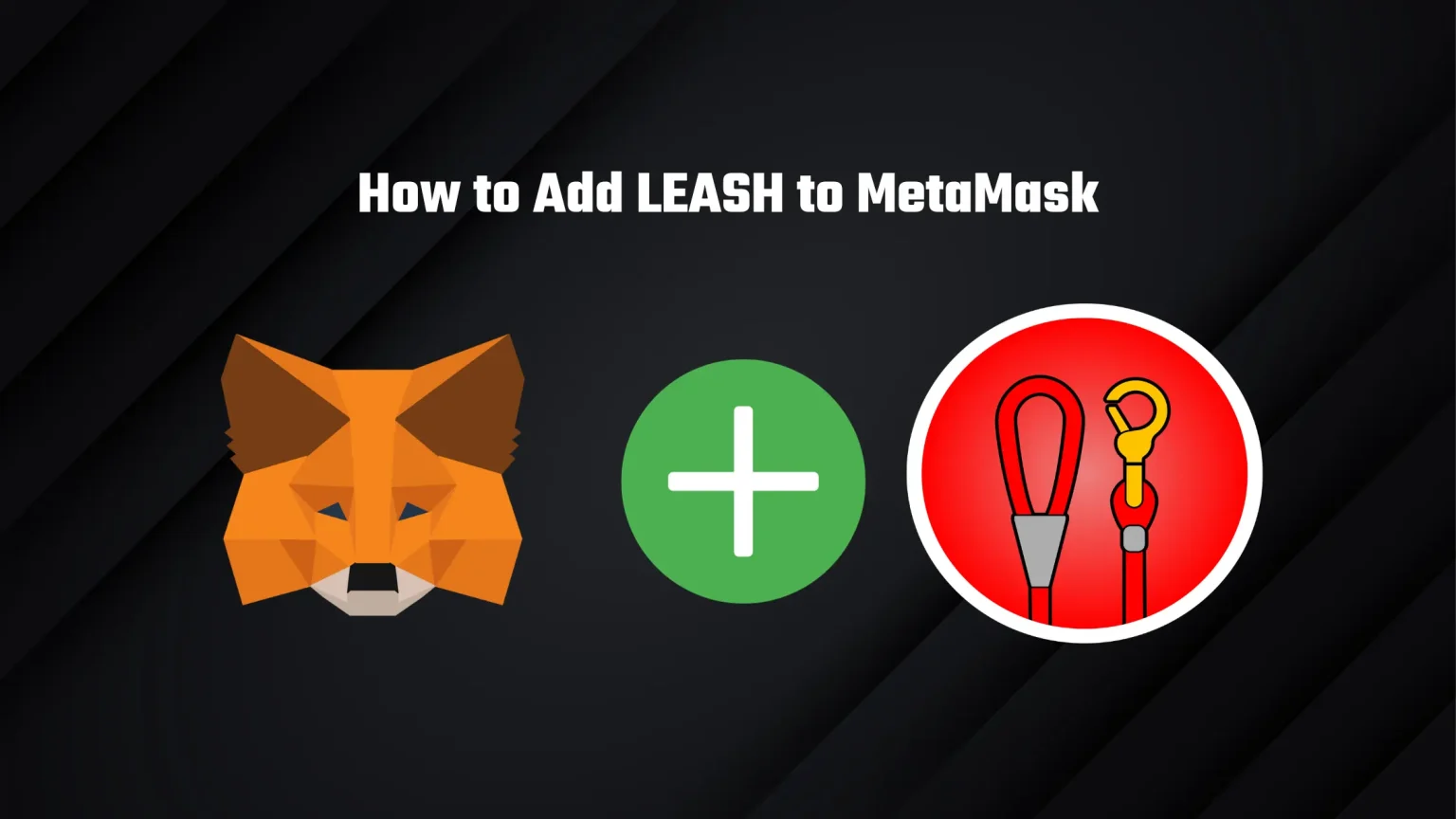 How to Add Shiba LEASH to MetaMask in 4 Steps How to add LEASH to metamask